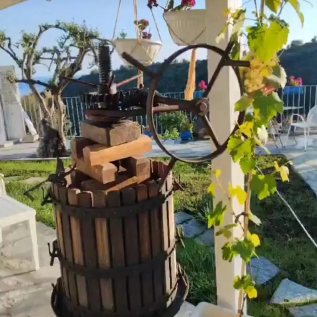 Bed & Breakfast Message In A Bottle Bed And Breakfast Camporosso  Italia
