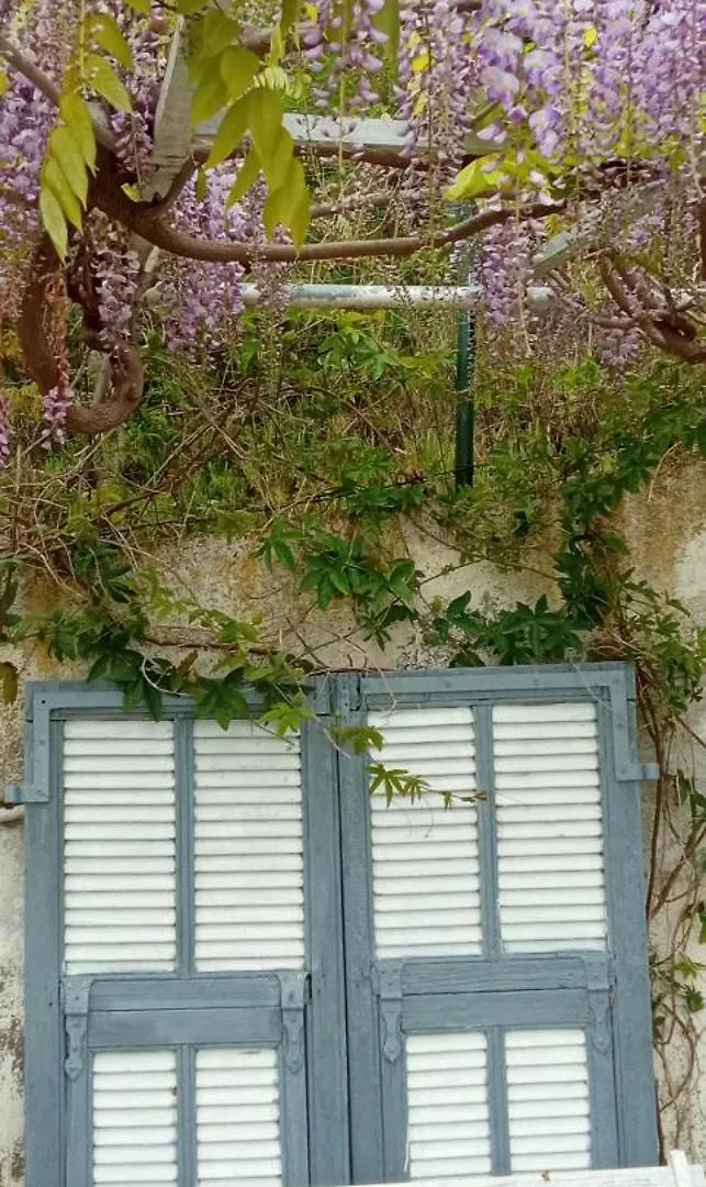 Message In A Bottle Bed And Breakfast Camporosso  Bed & Breakfast