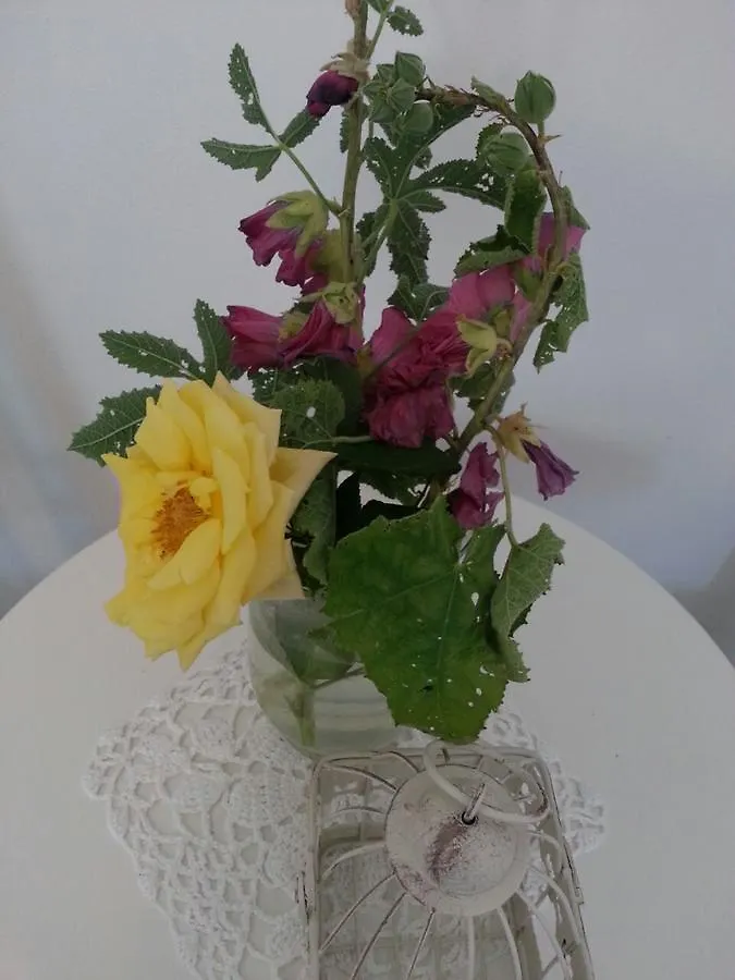 Bed & Breakfast Message In A Bottle Bed And Breakfast Camporosso  Italia