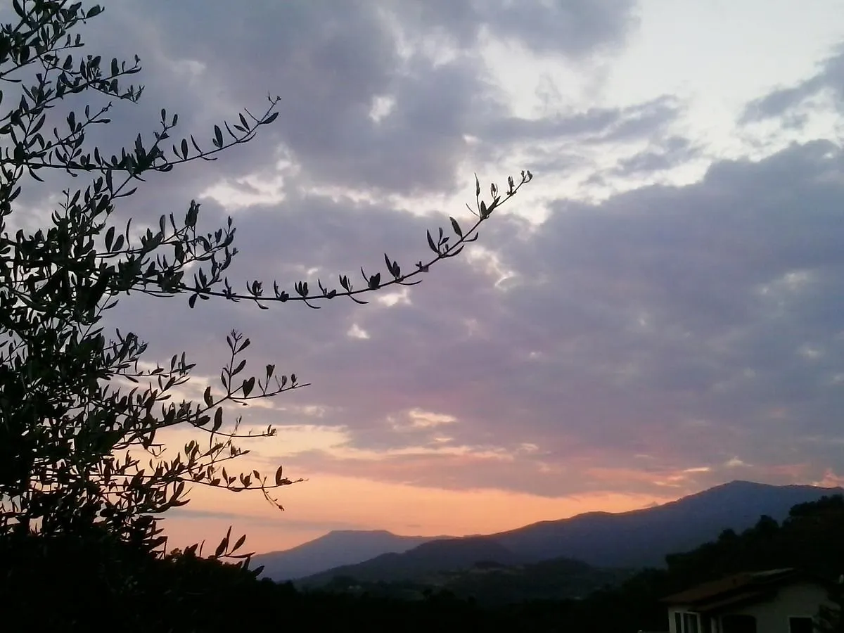Message In A Bottle Bed And Breakfast Camporosso  0*, Camporosso (Liguria) Italy